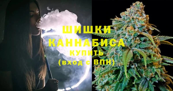 индика Бугульма